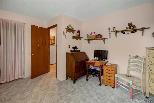 560 Manor Court Woodland Park, CO 80863
