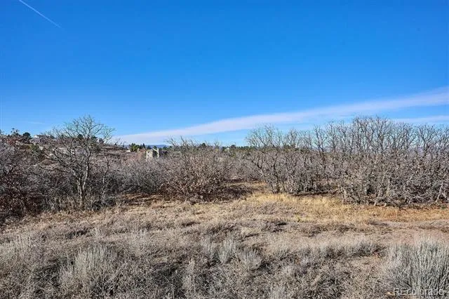 1044 Bader Court Castle Rock, CO 80104