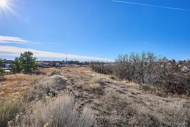 1044 Bader Court Castle Rock, CO 80104