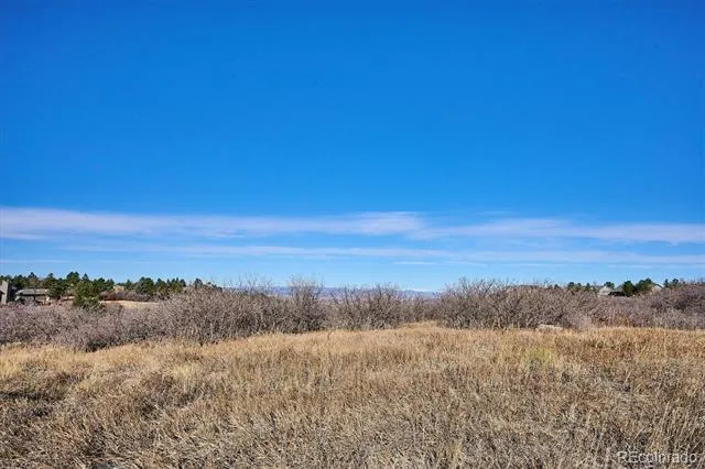 1044 Bader Court Castle Rock, CO 80104