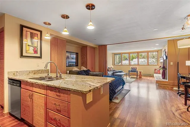 22864 US Highway 6 #107 Keystone, CO 80435