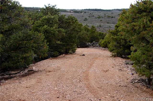 5252 Valley View Trail San Luis, CO 81152