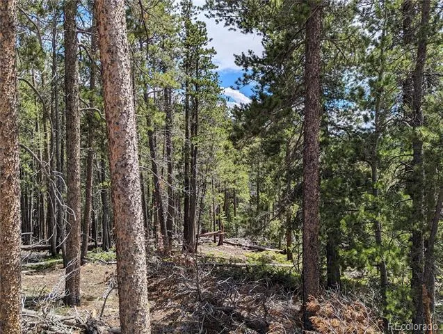 3159 Purnell Lane Fort Garland, CO 81133