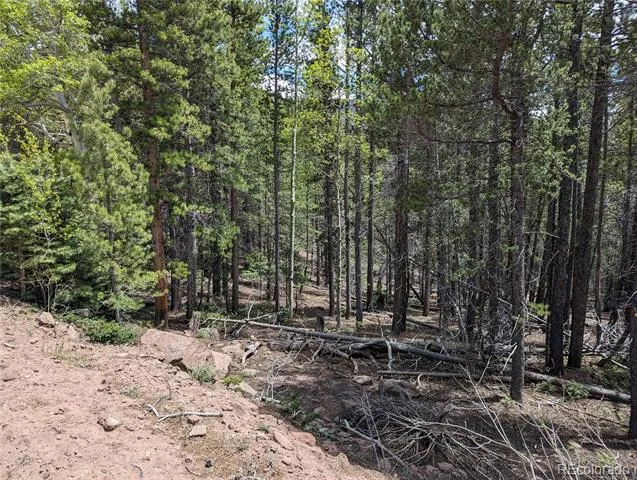 3159 Purnell Lane Fort Garland, CO 81133