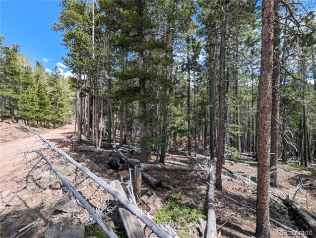 3159 Purnell Lane Fort Garland, CO 81133