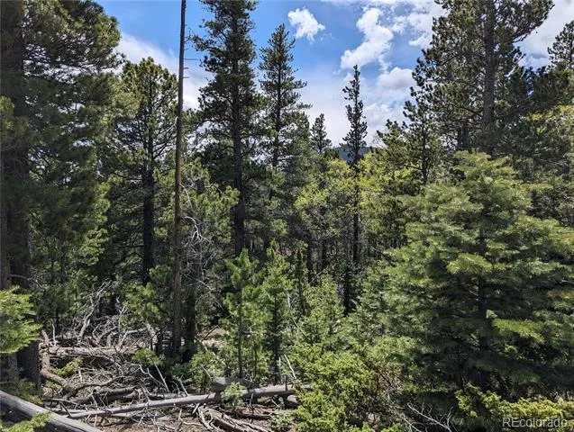 3159 Purnell Lane Fort Garland, CO 81133