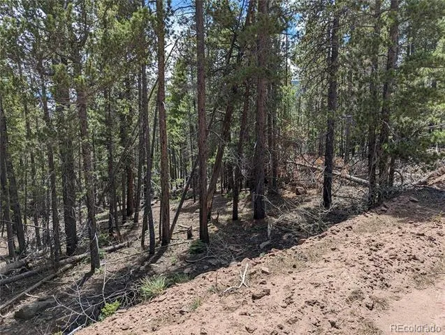 3159 Purnell Lane Fort Garland, CO 81133