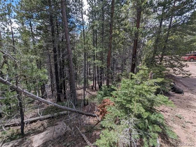 3159 Purnell Lane Fort Garland, CO 81133
