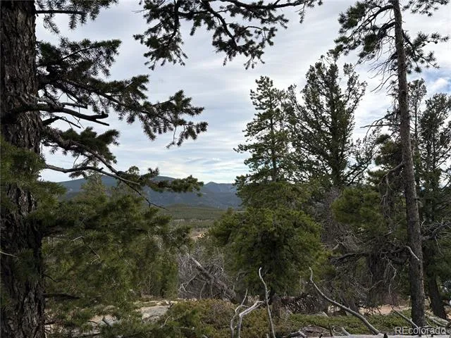 34251 Skyline Drive Golden, CO 80403