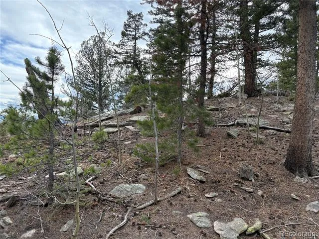 34251 Skyline Drive Golden, CO 80403