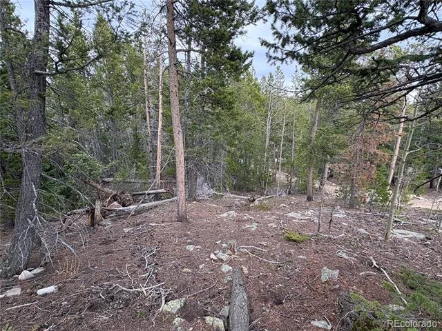34251 Skyline Drive Golden, CO 80403