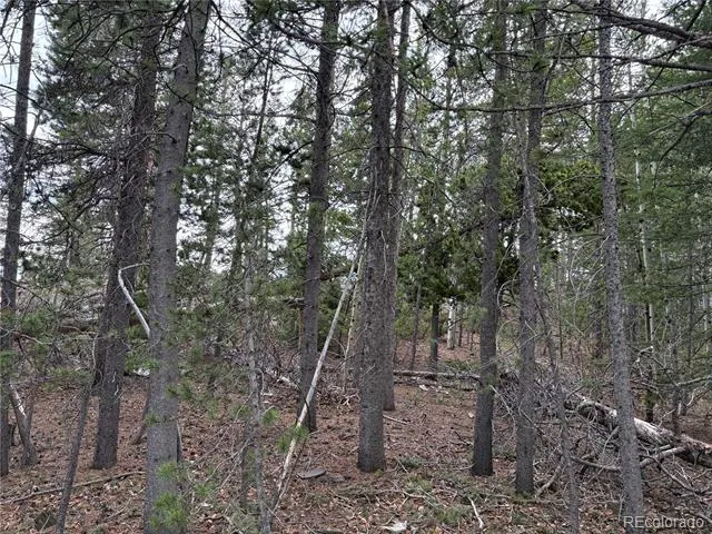 34251 Skyline Drive Golden, CO 80403