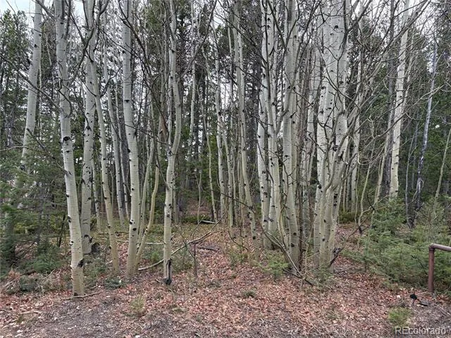 34251 Skyline Drive Golden, CO 80403