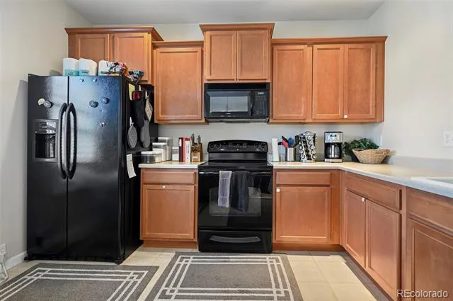 917 Burning Bush Point Monument, CO 80132