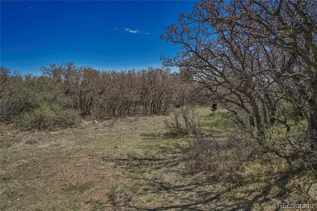 CL&L Lot 93 Walsenburg, CO 81089