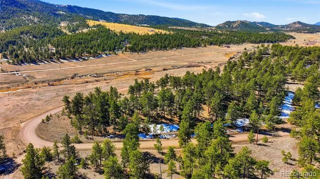 50 Stage Coach Road Guffey, CO 80820