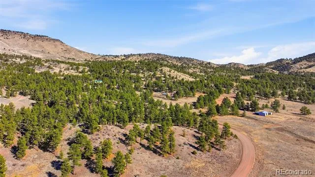 50 Stage Coach Road Guffey, CO 80820