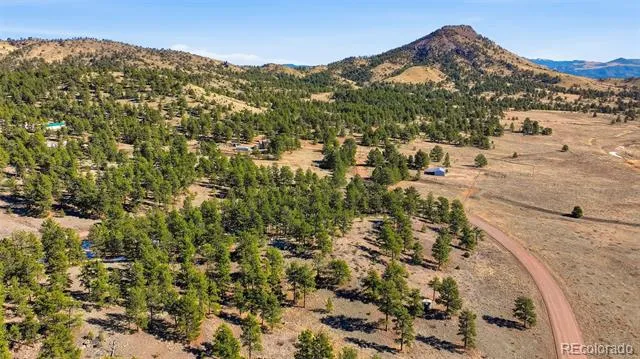 50 Stage Coach Road Guffey, CO 80820