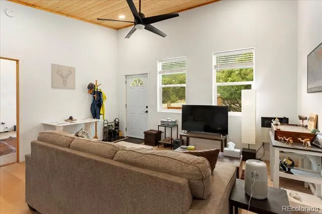 3538 Camino Del Rey Crestone, CO 81131