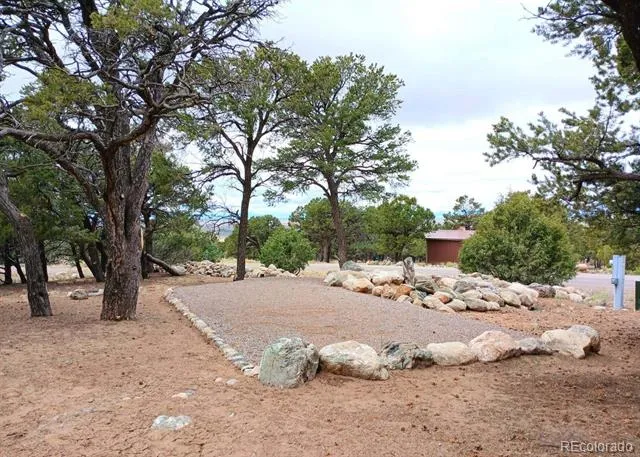 3538 Camino Del Rey Crestone, CO 81131