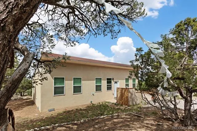 3538 Camino Del Rey Crestone, CO 81131