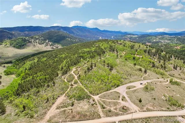 0001 Mac Rock Road Central City, CO 80427
