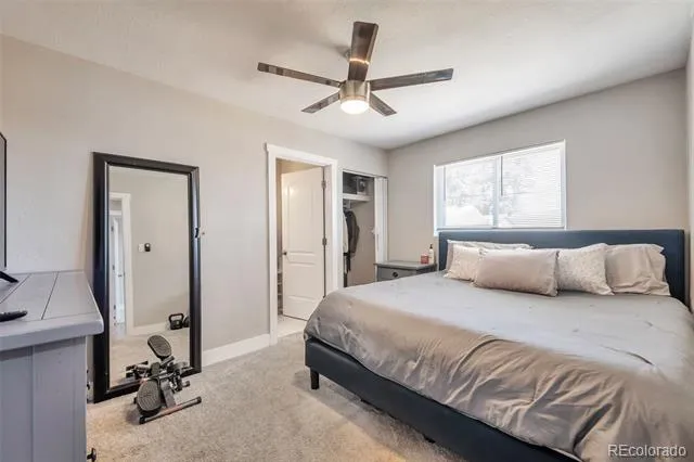 1181 Rowena Street Denver, CO 80229