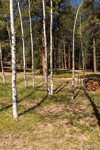 177 Cedar Drive Lyons, CO 80540