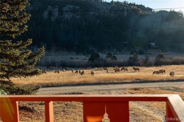 177 Cedar Drive Lyons, CO 80540