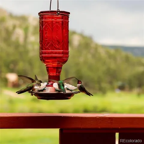 177 Cedar Drive Lyons, CO 80540