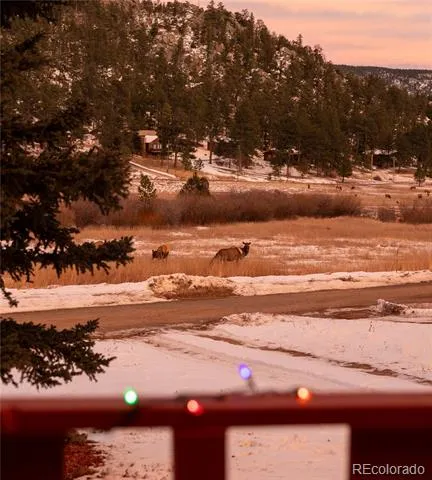 177 Cedar Drive Lyons, CO 80540