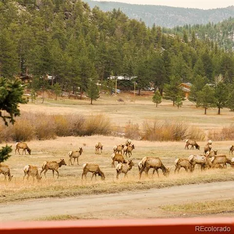 177 Cedar Drive Lyons, CO 80540