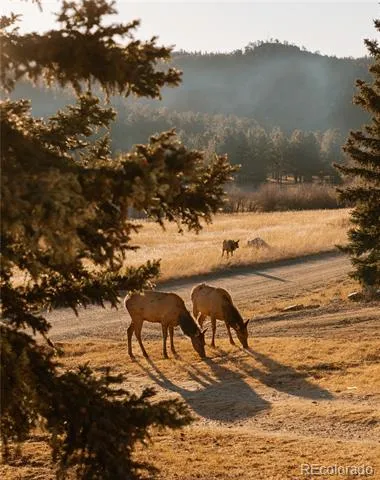 177 Cedar Drive Lyons, CO 80540