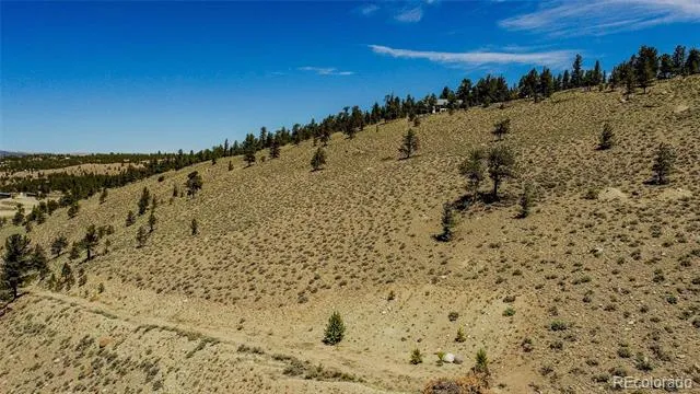 6278 County Road 10 Twin Lakes, CO 81251