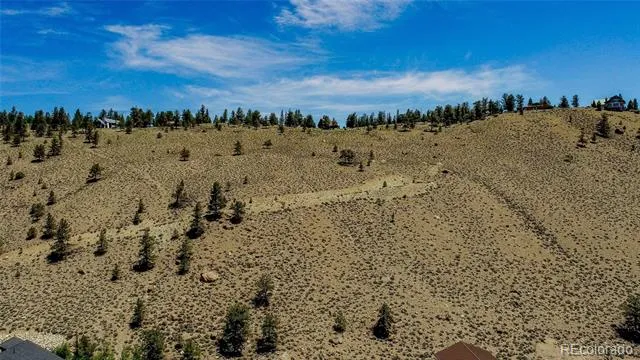 6278 County Road 10 Twin Lakes, CO 81251