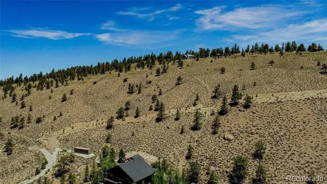 6278 County Road 10 Twin Lakes, CO 81251