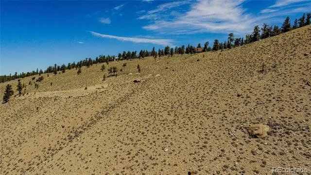 6278 County Road 10 Twin Lakes, CO 81251