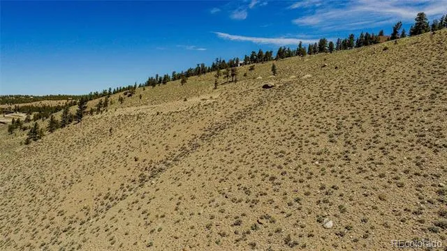 6278 County Road 10 Twin Lakes, CO 81251