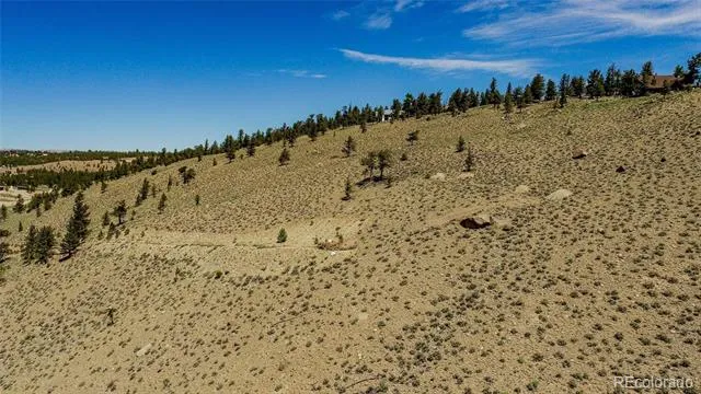6278 County Road 10 Twin Lakes, CO 81251