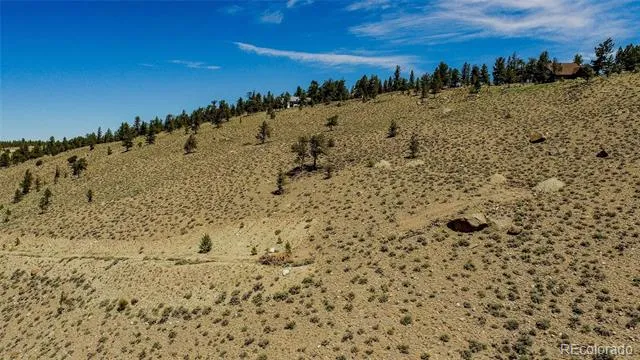 6278 County Road 10 Twin Lakes, CO 81251