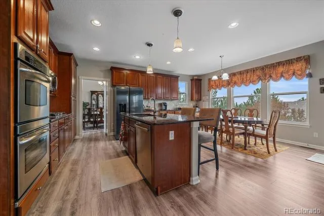 3007 Danbury Avenue Highlands Ranch, CO 80126