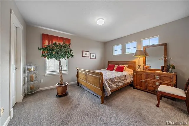 3007 Danbury Avenue Highlands Ranch, CO 80126
