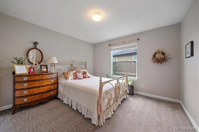 3007 Danbury Avenue Highlands Ranch, CO 80126