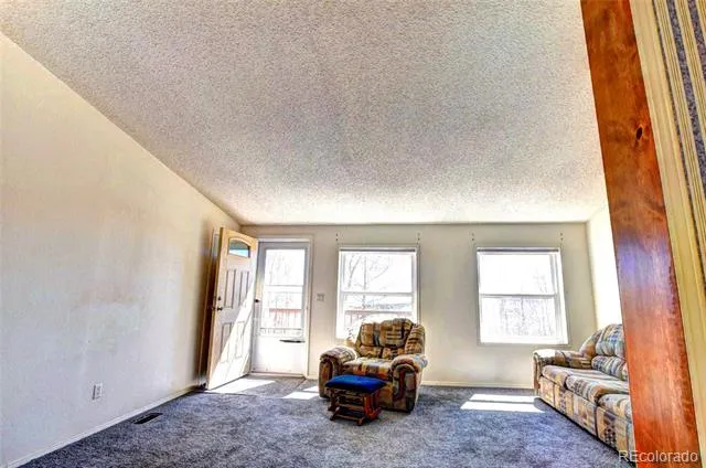 605 Lamb Mountain Road Fairplay, CO 80440