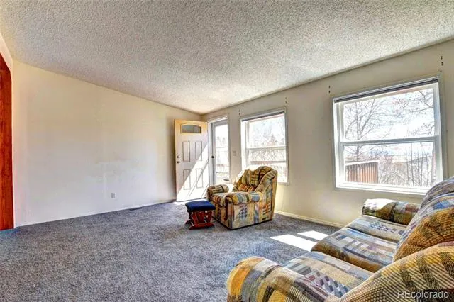 605 Lamb Mountain Road Fairplay, CO 80440