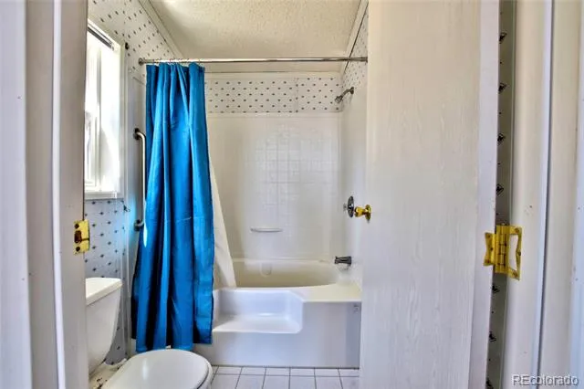 605 Lamb Mountain Road Fairplay, CO 80440