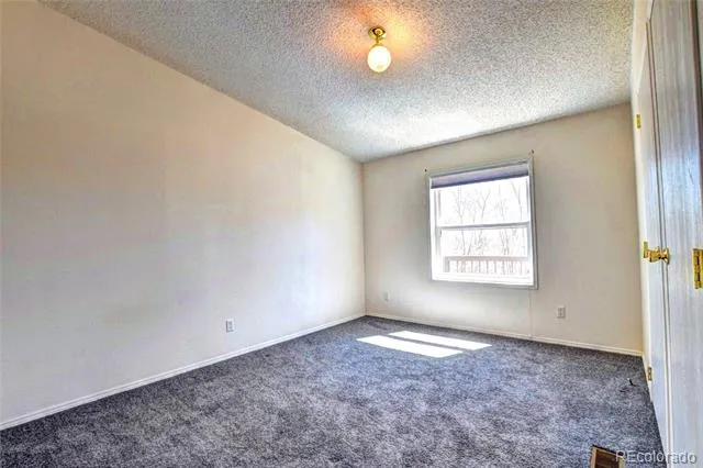 605 Lamb Mountain Road Fairplay, CO 80440