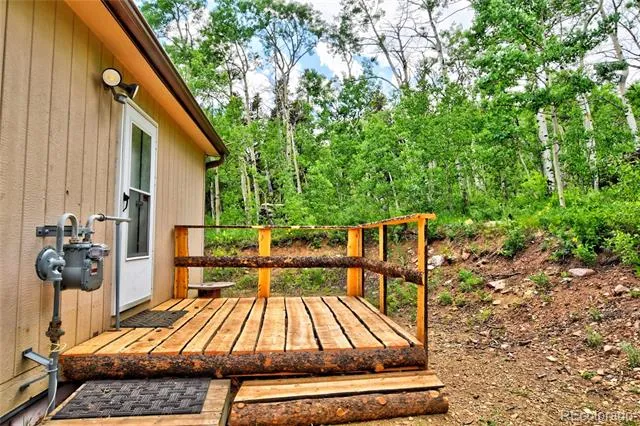605 Lamb Mountain Road Fairplay, CO 80440