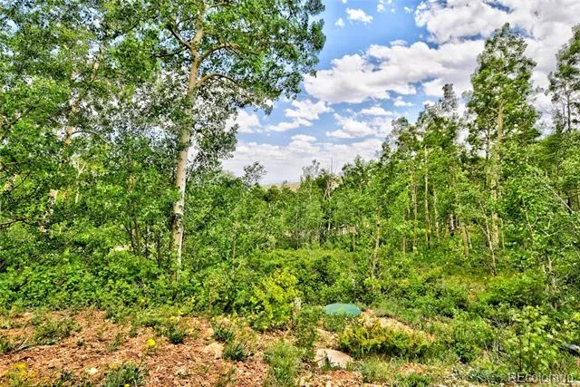 605 Lamb Mountain Road Fairplay, CO 80440