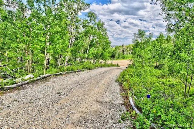 605 Lamb Mountain Road Fairplay, CO 80440